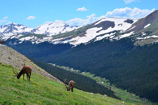 Colorado image