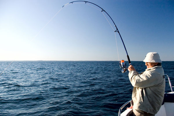 Fishing Trips image