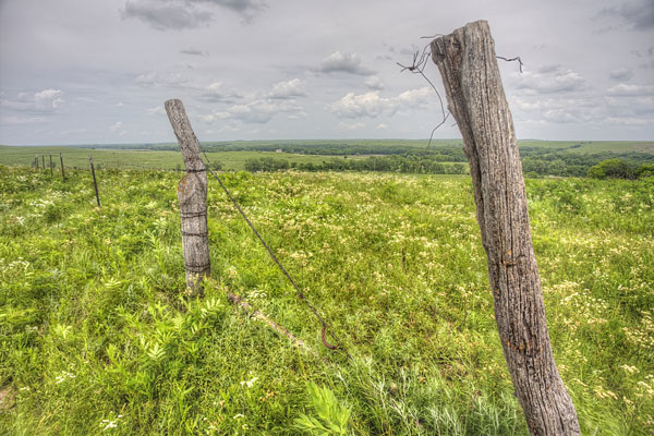 Kansas image