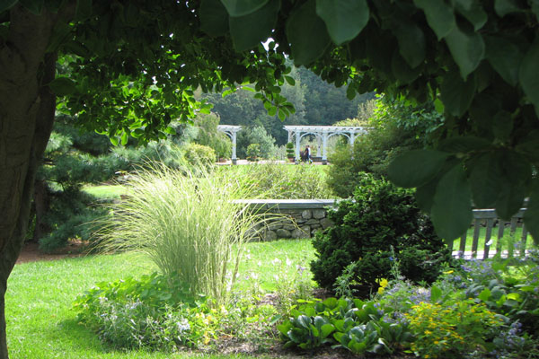 Lawn and Garden image