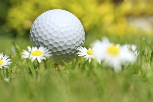 recreation picture - golf ball, daisies, and a grassy meadow